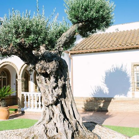 Affittacamere Casa Luxury "El Olivo De Cordoba" Con Jacuzzi Y Parking Privado Esterno foto