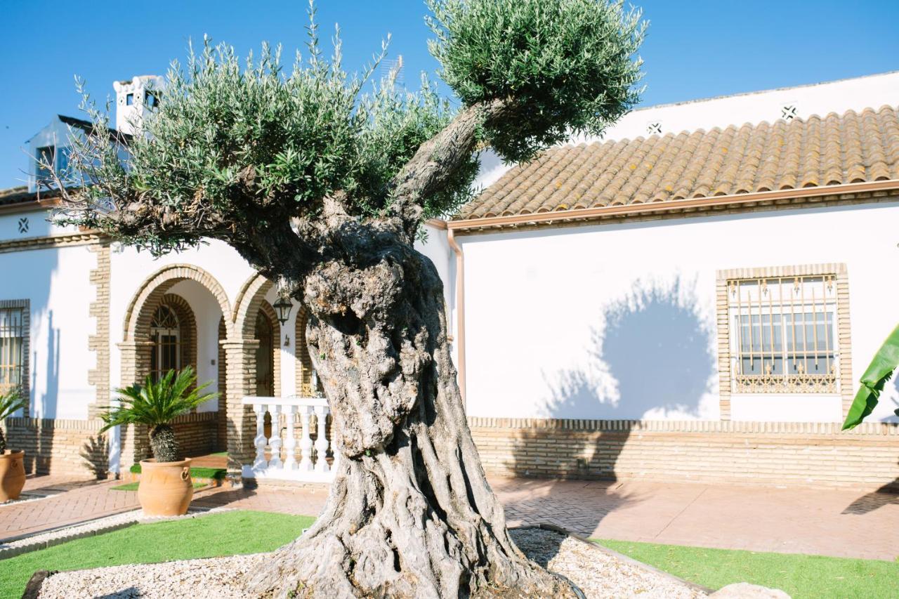 Affittacamere Casa Luxury "El Olivo De Cordoba" Con Jacuzzi Y Parking Privado Esterno foto