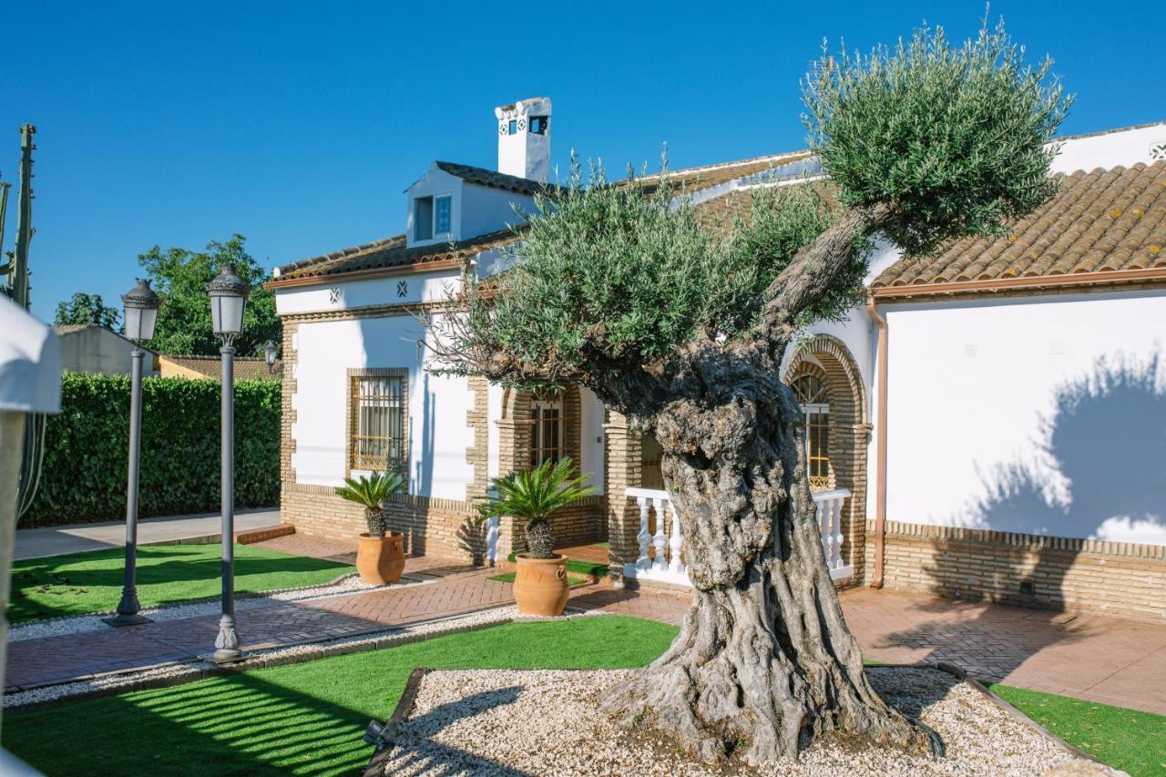 Affittacamere Casa Luxury "El Olivo De Cordoba" Con Jacuzzi Y Parking Privado Esterno foto