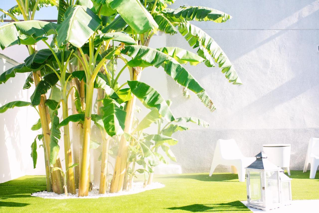 Affittacamere Casa Luxury "El Olivo De Cordoba" Con Jacuzzi Y Parking Privado Esterno foto